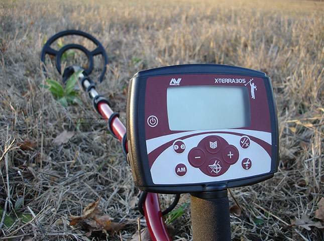 minelab-x-terra-305-06