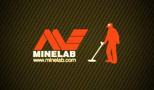 minelab safari 11 metal detector