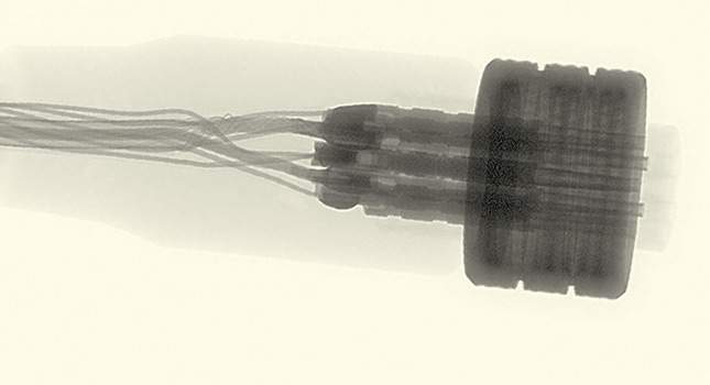 Minelab Equinox Coil X-Ray. Is it really the half of machine?