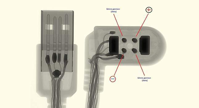 Minelab Equinox Coil X-Ray. Is it really the half of machine?